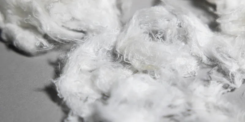 RE&UP’s Next-Gen Cotton Fibers Used in Zalando Private Label T-Shirt Collection